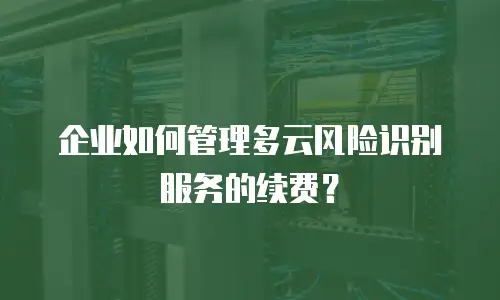企业如何管理多云风险识别服务的续费？