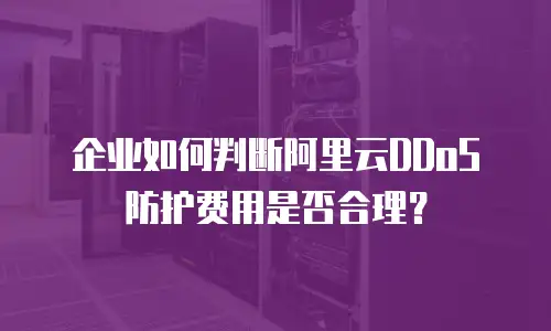 企业如何判断阿里云DDoS防护费用是否合理？