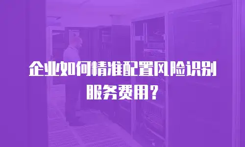 企业如何精准配置风险识别服务费用？