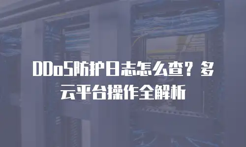 DDoS防护日志怎么查？多云平台操作全解析