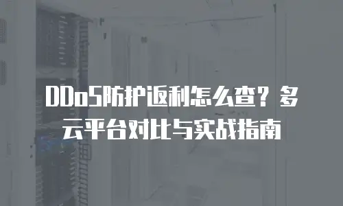 DDoS防护返利怎么查？多云平台对比与实战指南