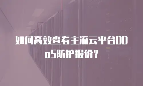 如何高效查看主流云平台DDoS防护报价？