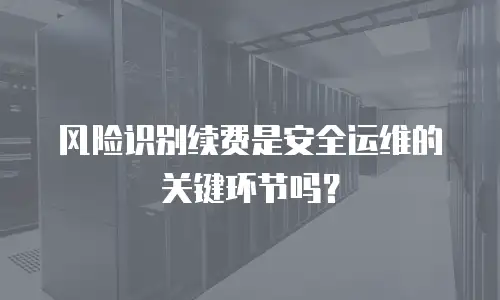 风险识别续费是安全运维的关键环节吗？