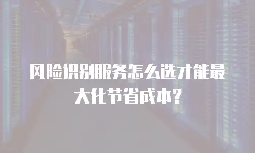 风险识别服务怎么选才能最大化节省成本？