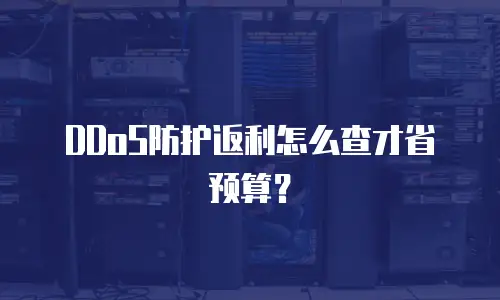 DDoS防护返利怎么查才省预算？