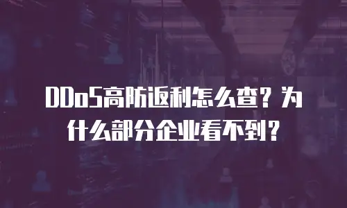DDoS高防返利怎么查？为什么部分企业看不到？
