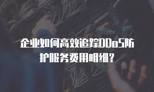 企业如何高效追踪DDoS防护服务费用明细？