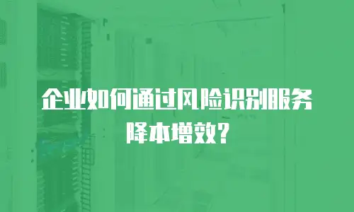 企业如何通过风险识别服务降本增效？