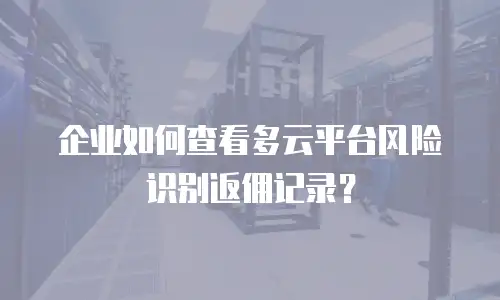 企业如何查看多云平台风险识别返佣记录？