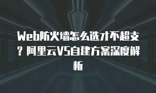 Web防火墙怎么选才不超支？阿里云VS自建方案深度解析