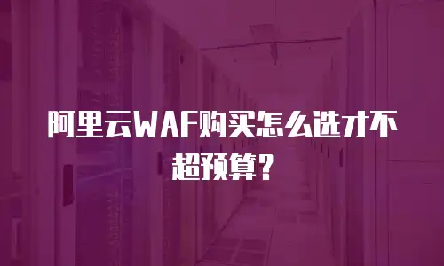 阿里云WAF购买怎么选才不超预算？