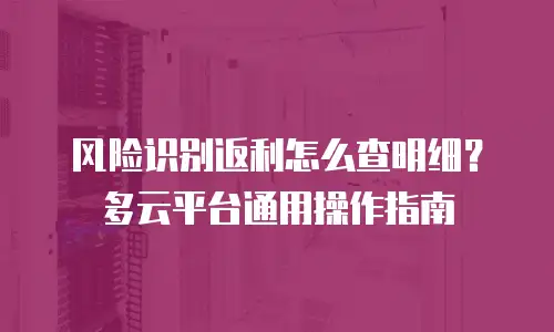 风险识别返利怎么查明细？多云平台通用操作指南