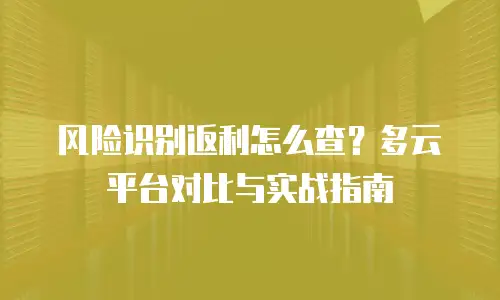 风险识别返利怎么查？多云平台对比与实战指南
