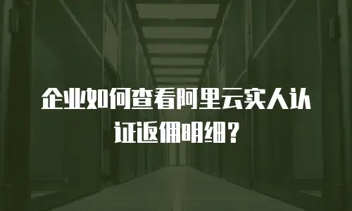 企业如何查看阿里云实人认证返佣明细？
