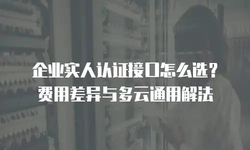企业实人认证接口怎么选？费用差异与多云通用解法