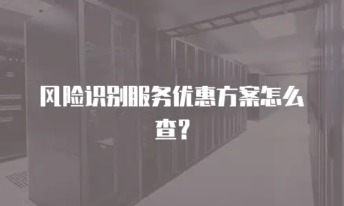 风险识别服务优惠方案怎么查？