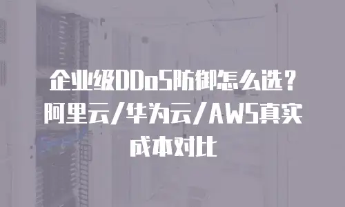 企业级DDoS防御怎么选？阿里云/华为云/AWS真实成本对比