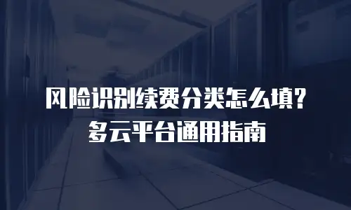 风险识别续费分类怎么填？多云平台通用指南