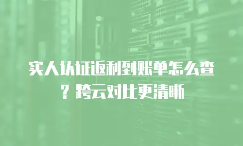 实人认证返利到账单怎么查？跨云对比更清晰