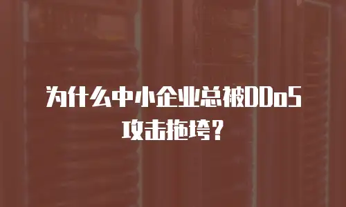 为什么中小企业总被DDoS攻击拖垮？