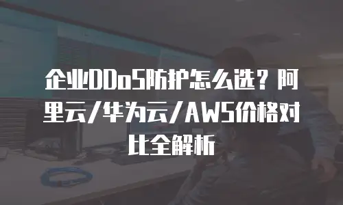 企业DDoS防护怎么选？阿里云/华为云/AWS价格对比全解析
