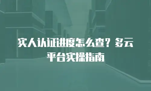 实人认证进度怎么查？多云平台实操指南