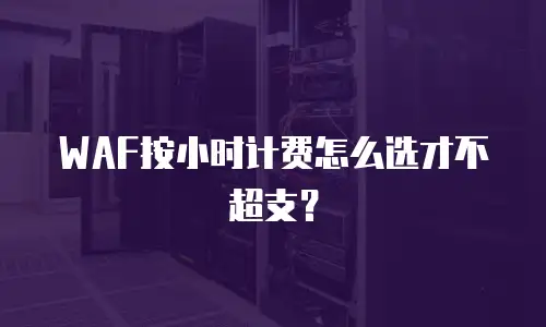 WAF按小时计费怎么选才不超支？