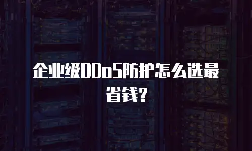 企业级DDoS防护怎么选最省钱？