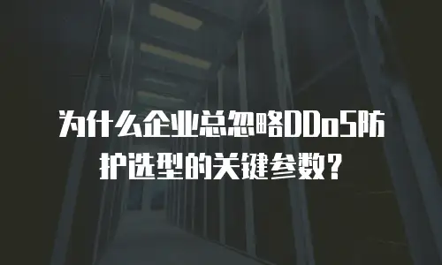 为什么企业总忽略DDoS防护选型的关键参数？