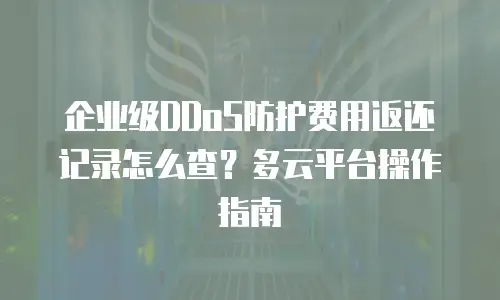 企业级DDoS防护费用返还记录怎么查？多云平台操作指南