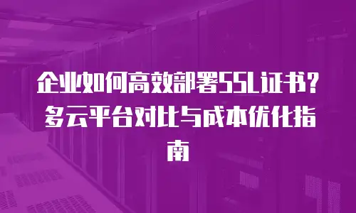 企业如何高效部署SSL证书？多云平台对比与成本优化指南