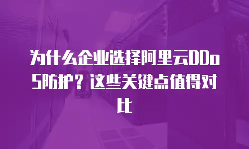 为什么企业选择阿里云DDoS防护？这些关键点值得对比