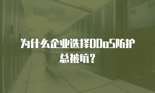 为什么企业选择DDoS防护总被坑？