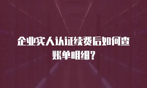 企业实人认证续费后如何查账单明细？