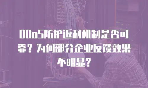 DDoS防护返利机制是否可靠？为何部分企业反馈效果不明显？
