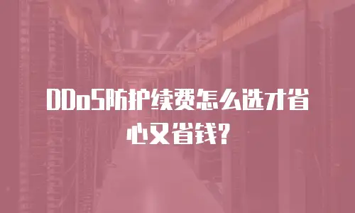 DDoS防护续费怎么选才省心又省钱？