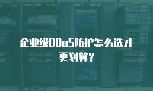 企业级DDoS防护怎么选才更划算？