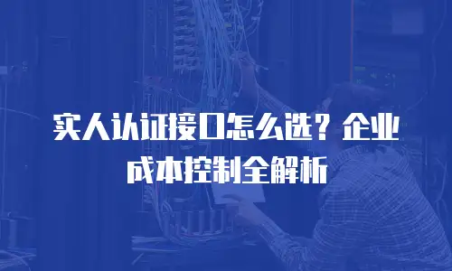 实人认证接口怎么选？企业成本控制全解析
