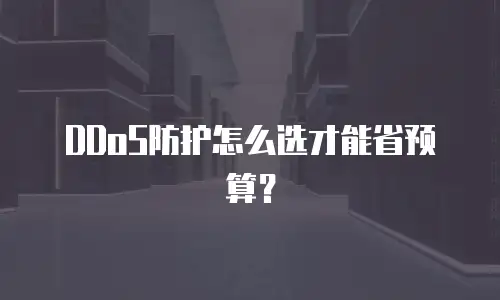 DDoS防护怎么选才能省预算？