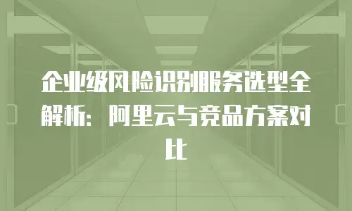 企业级风险识别服务选型全解析：阿里云与竞品方案对比