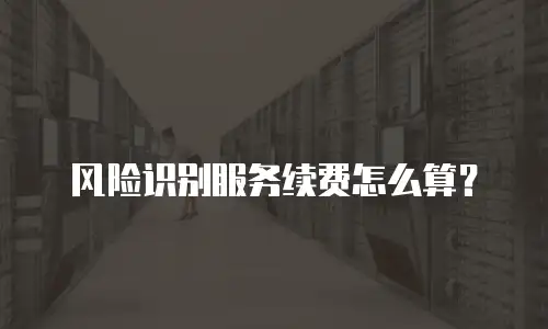 风险识别服务续费怎么算？