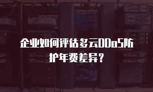 企业如何评估多云DDoS防护年费差异？