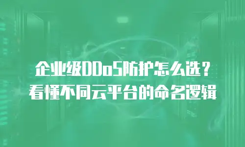企业级DDoS防护怎么选？看懂不同云平台的命名逻辑