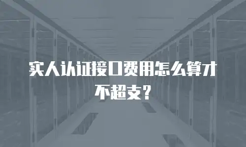 实人认证接口费用怎么算才不超支？