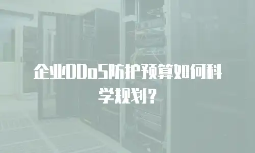 企业DDoS防护预算如何科学规划？