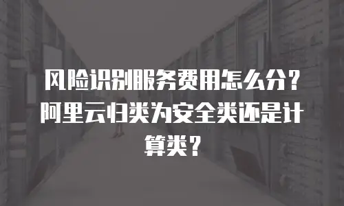 风险识别服务费用怎么分？阿里云归类为安全类还是计算类？