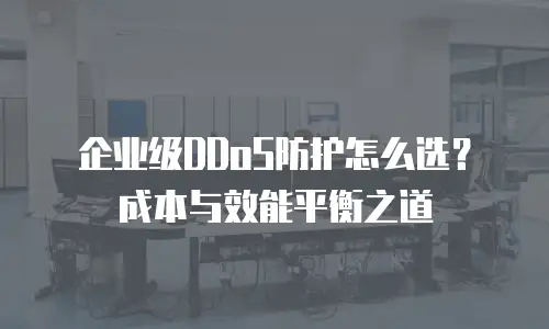 企业级DDoS防护怎么选？成本与效能平衡之道