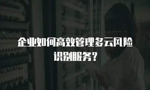 企业如何高效管理多云风险识别服务？