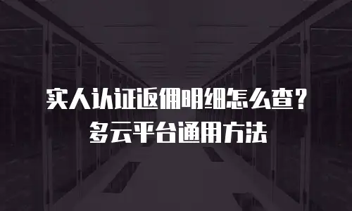 实人认证返佣明细怎么查？多云平台通用方法