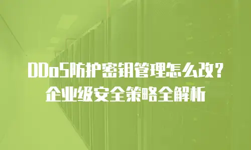 DDoS防护密钥管理怎么改？企业级安全策略全解析